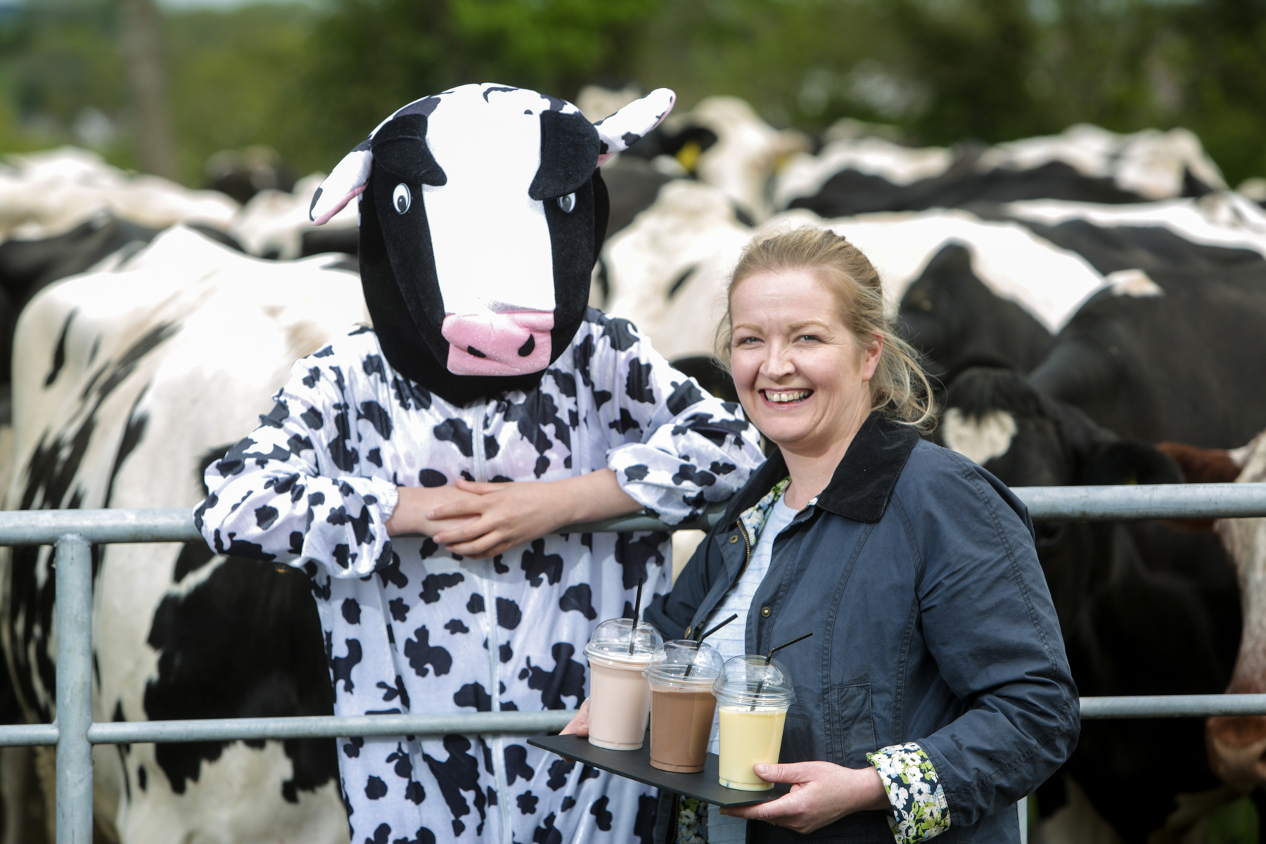 Mount Charles set to “Shake It Up”